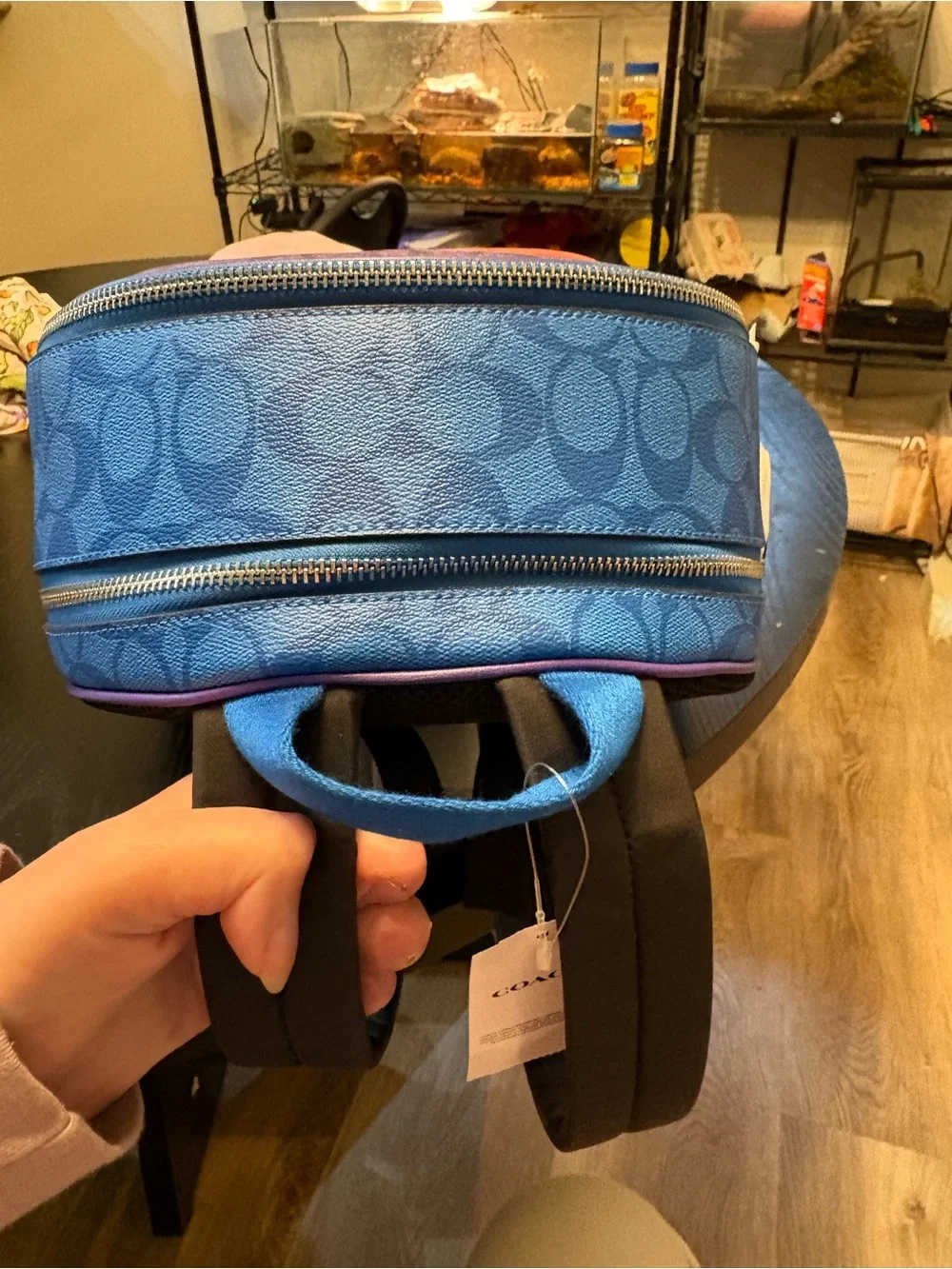 COACH Purple and Coral Signature Mini Backpack